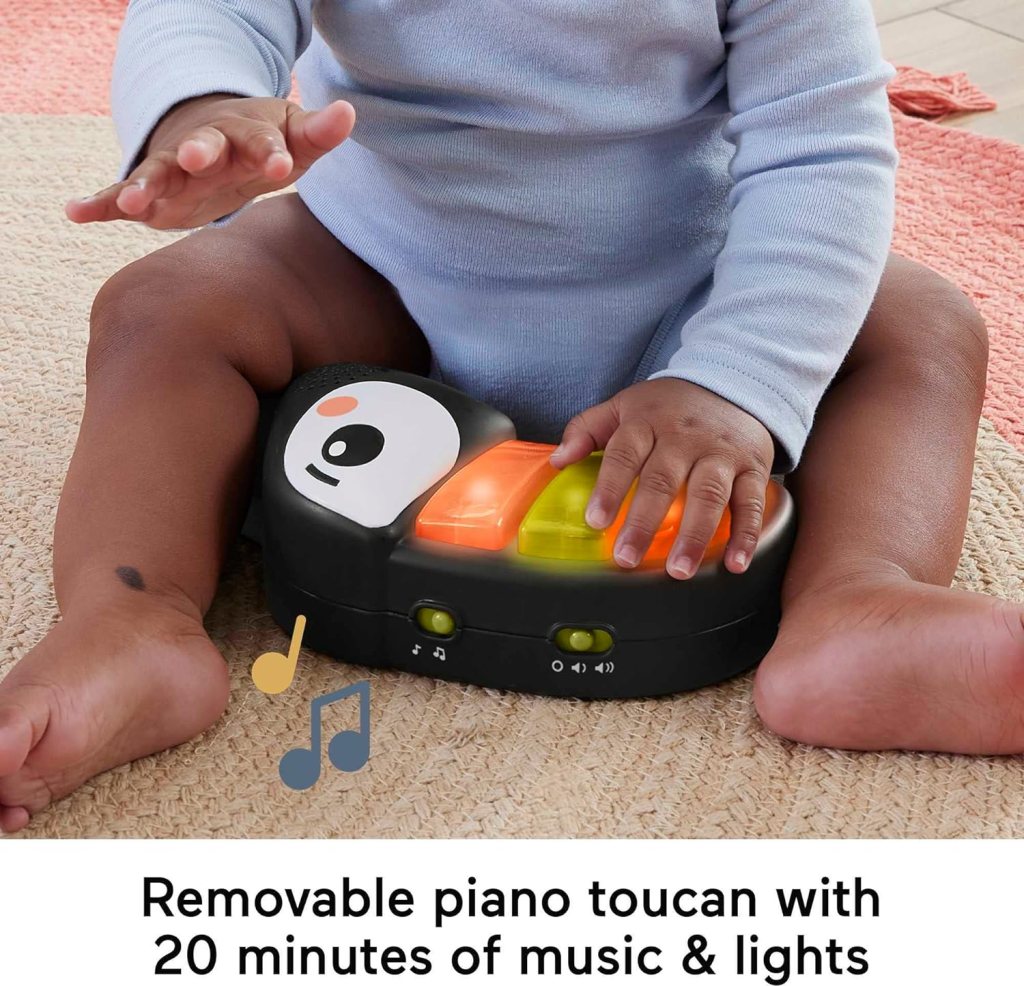 Fisher-Price Baby Bouncer Palm Paradise Jumperoo: Removable piano toucan with 20 minutes of music and lights